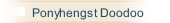 Ponyhengst Doodoo